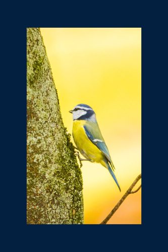 Mainz-Wiesbaden-and-Berlin Landscape-Photography-10 (1)