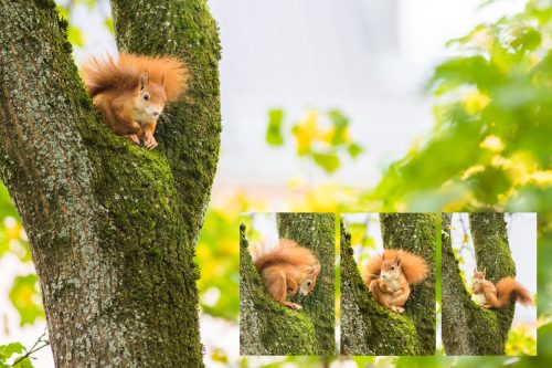 Mainz-Wiesbaden-and-Berlin Landscape-Photography-1 (1)