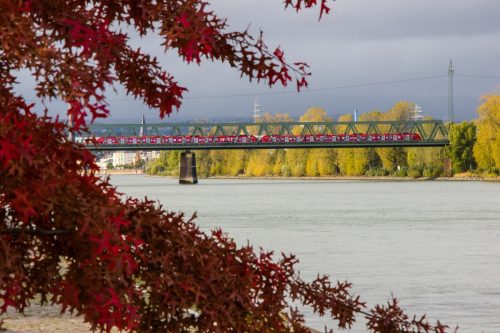 Mainz-Wiesbaden-and-Berlin Landscape-Photography-31