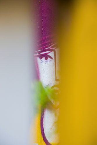 Mainz-Wiesbaden-and-Berlin Landscape-Photography-6 (1)