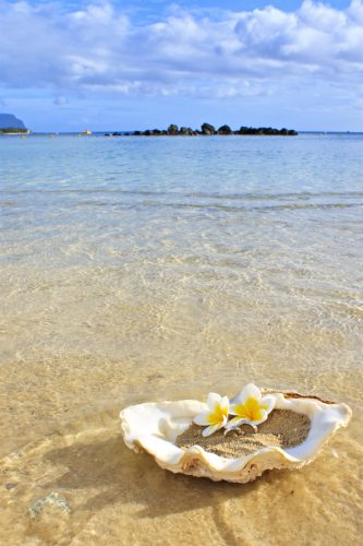 Shell-Ring-and-Mauritius-Landscape